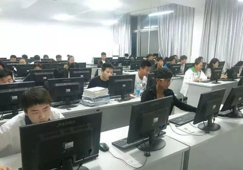 指尖創(chuàng)富 電子商務(wù)專業(yè)的數(shù)字未來與無限可能